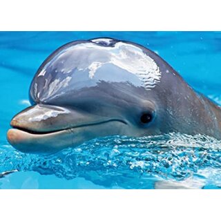 Diamond Painting Delfin (Design 25x35)  30x40 cm
