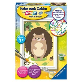 Kleiner Igel