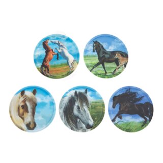 Pferde, Kletties-Set