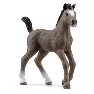 Cheval de Selle Francais Fohlen