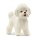 Bichon Frisé