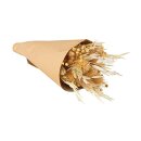 Trockenblumen Strauß m.Papiermanschette, natur, 28cm