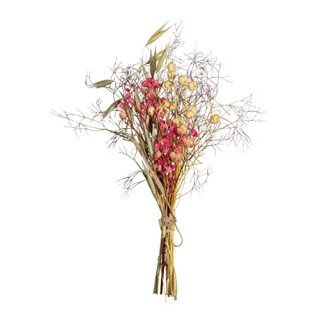 Trockenblumenstrauß, pink, 18-20cm, SB-Btl. 1Stück