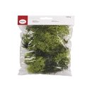 Islandmoos, h.grün, SB-Btl. 100 g