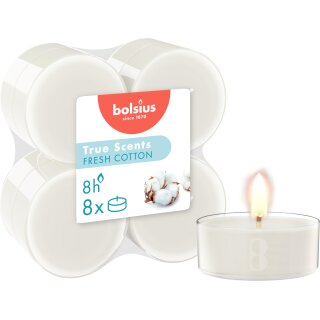 Maxi-Lichte transparent 8 Stunden 8er Pack True Scents Fresh Cotton