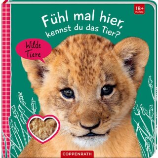 Fühl mal hier, kennst du das Tier? Wilde Tiere (Fühlen&beg.)