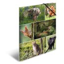 Sammelmappen A4 Karton Waldtiere