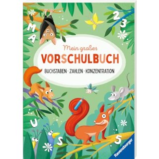 Mein großes Vorschulbuch: Buchstaben Zahlen Konzentration