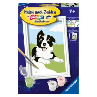 Ravensburger Malen nach Zahlen 23759 - Border Collie Welpe - Kinder ab 7 Jahren