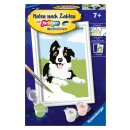 Ravensburger Malen nach Zahlen 23759 - Border Collie...