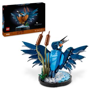 Eisvogel