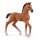 schleich Horse Club