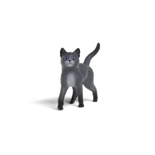 Kater