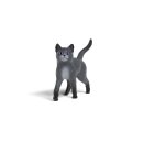 Kater