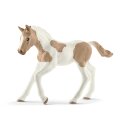 Paint Horse Fohlen