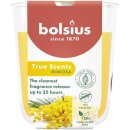 Duftglas klein 80/73 True Scents Mimose