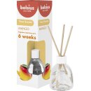 Raumduft 60ml True Scents Mango