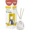 Raumduft 60ml True Scents Mimose