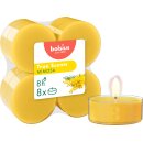 Maxi-Lichte transparent 8 Stunden 8er Pack True Scents...