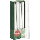Spitzkerzen 245/24 mm 8er Box Wolkiges Weiß