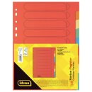 Idena Kartonregister 10teilig 5 Farben 150g/m² DIN A4