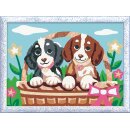 Hunde im Körbchen
