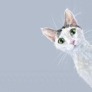 CAT STELLA light blue