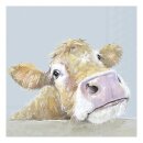 COW BELLA light blue