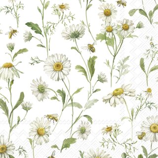 DAISIES