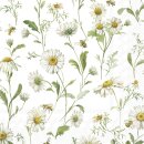 DAISIES