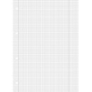 Brunnen 1052528 Schulblock / Notizblock (A4, 50 Blatt, kariert, mit Randlinien, Lineatur 28, gelocht, kopfverleimt, 70 g/m²)