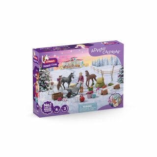 HC Adventskalender 2025