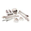 Satz Totenkopf und Knochen 12-teilig (23 cm)