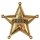 "AUTHENTISCHER SHERIFFSTERN" aus Metall