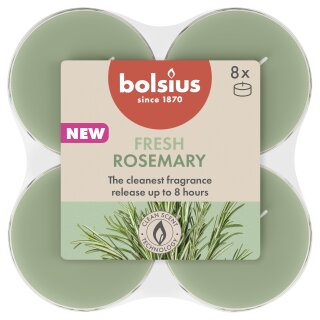 Maxi-Lichte transparent 8 Stunden 8er Pack True Scents - ab August Rosmarin