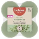 Maxi-Lichte transparent 8 Stunden 8er Pack True Scents -...