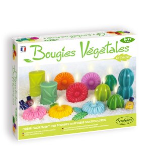 Kreativ Kit Pflanzliche Duftkerzen selbst herstellen