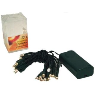 Lichterkette LED, 10 Lichter, grünes Kabel, warmes weiss, für Innenräume, 10cm Abstand zw.den Birnen, Abstand zw. Kabel und Birne 50cm