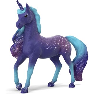 Galaxy Regenbogen Einhorn Hengst