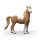 Mustang Stute