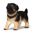 Deutscher Schäferhund Welpe