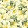ti-flair Servietten Ripe Lemons 33x33cm 20 Stück 3-lagig